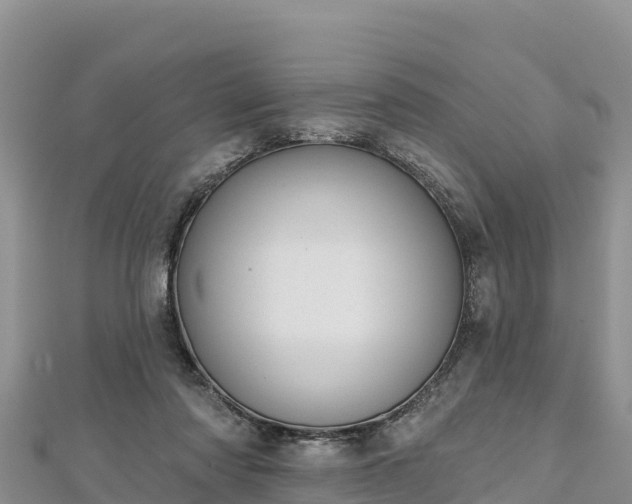 X0000112800310200908281534