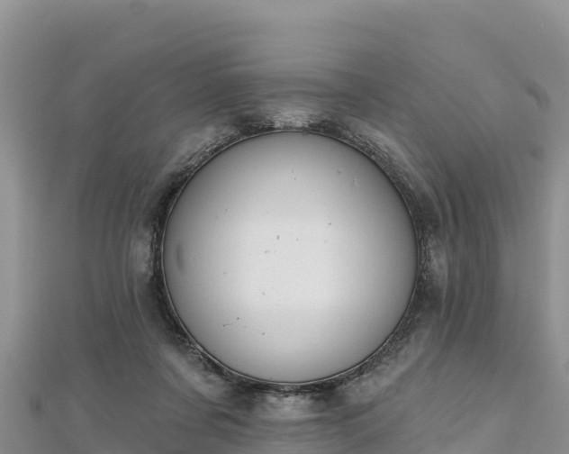 X0000112800311200908281534