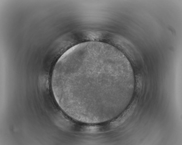 X0000112800313200908281534