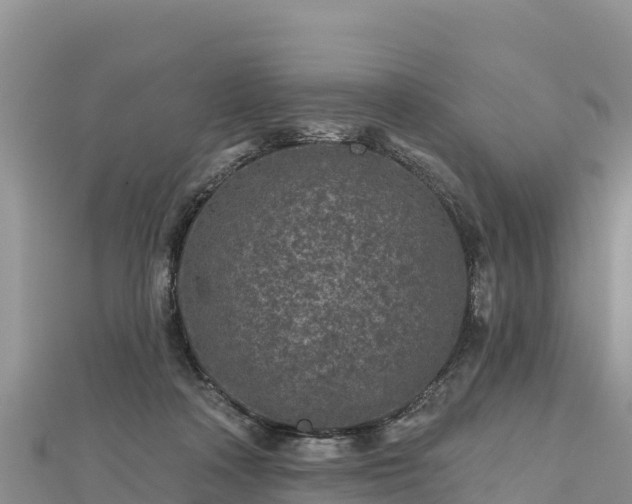 X0000112800314200908281534