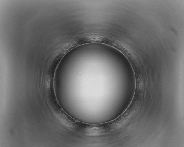 X0000112800315200908281534