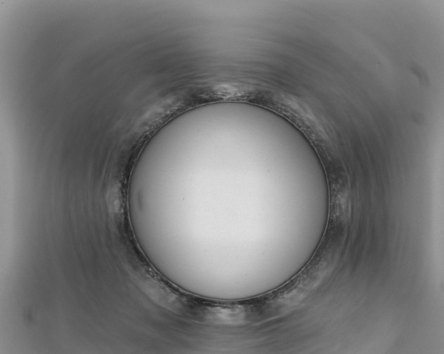 X0000112800317200908281534