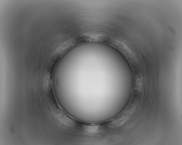 X0000112800318200908281534