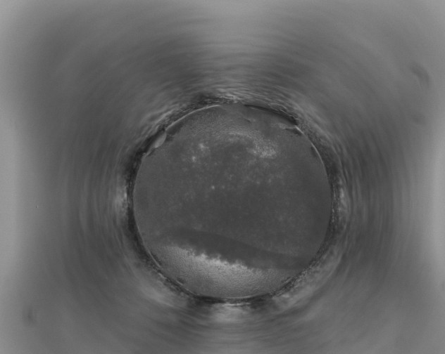 X0000112800320200908281534