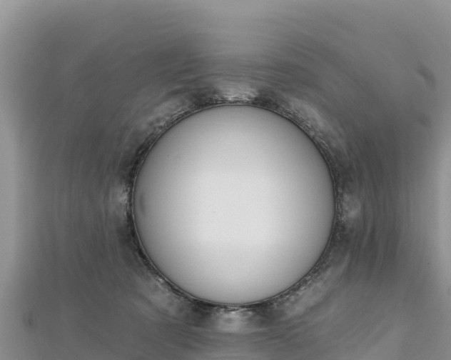 X0000112800321200908281534