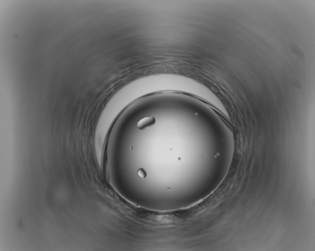 X0000112800324200908281534