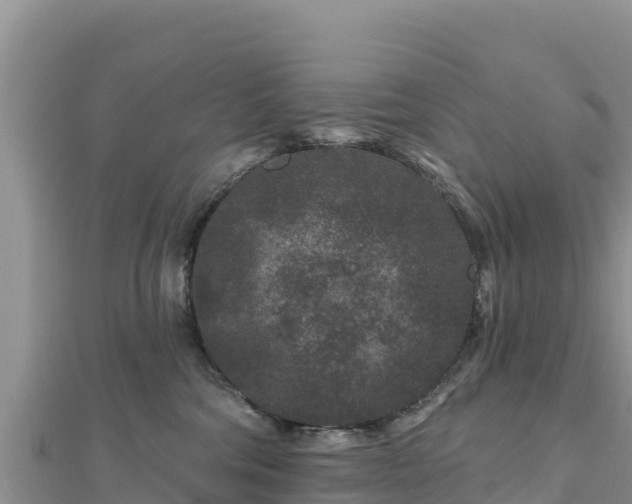 X0000112800330200908281533