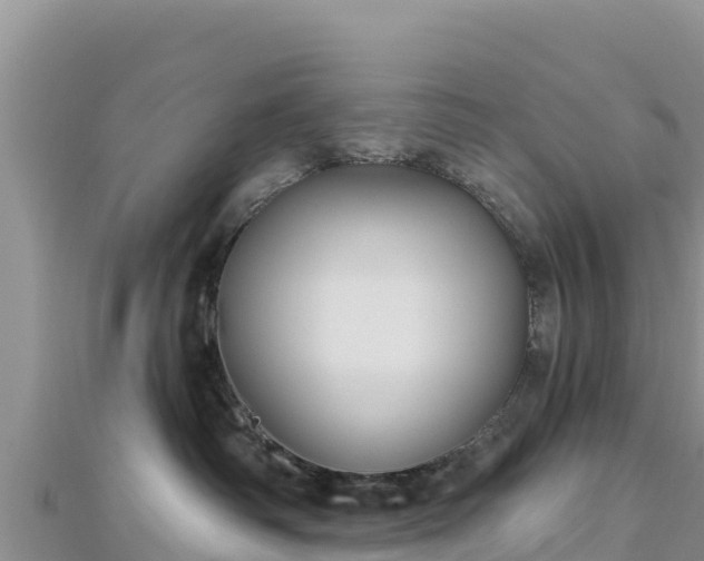 X0000112800334200908281533