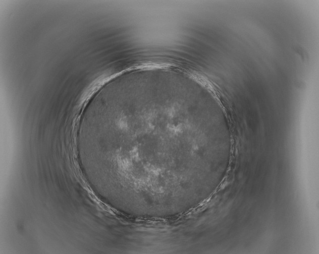 X0000112800337200908281533
