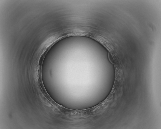 X0000112800338200908281533
