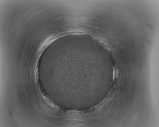 X0000112800339200908281533