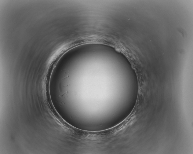 X0000112800341200908281533