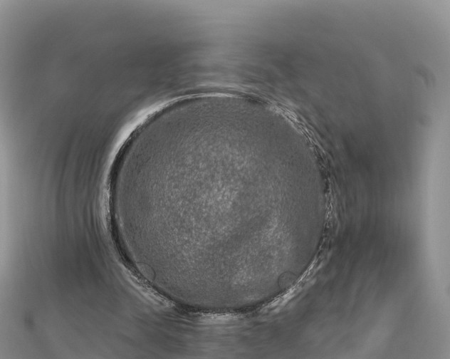 X0000112800342200908281533