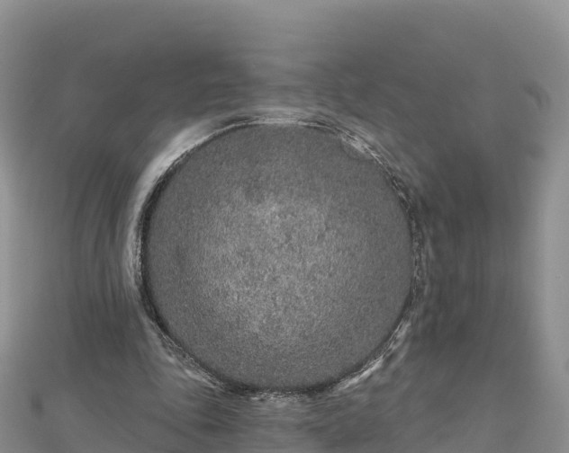 X0000112800343200908281533