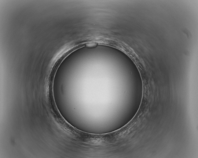 X0000112800344200908281533
