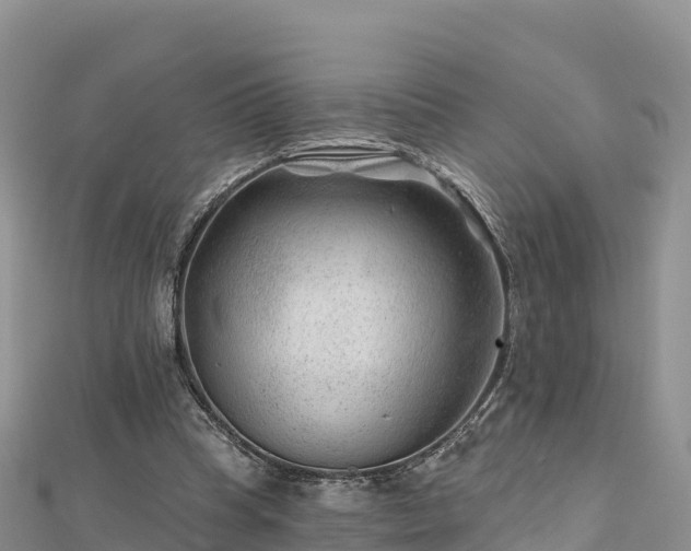 X0000112800345200908281533