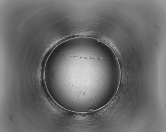 X0000112800346200908281533