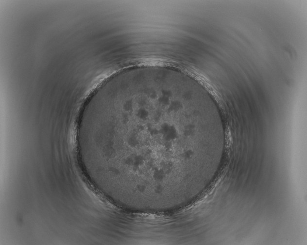 X0000112800347200908281533