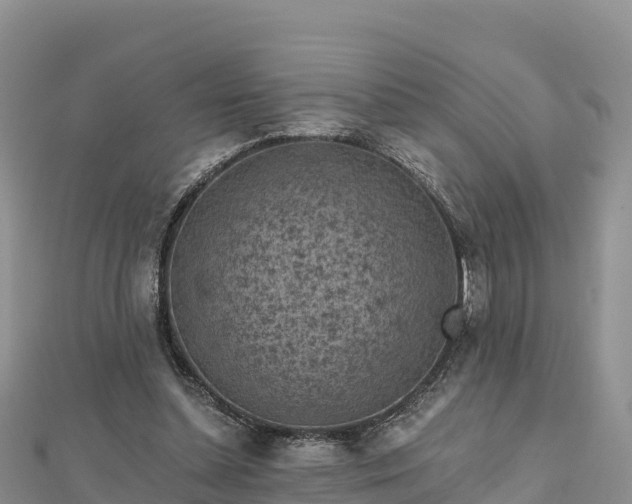 X0000112800348200908281533