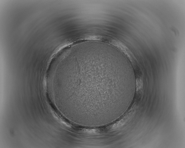 X0000112800349200908281533