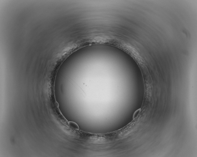 X0000112800354200908281533