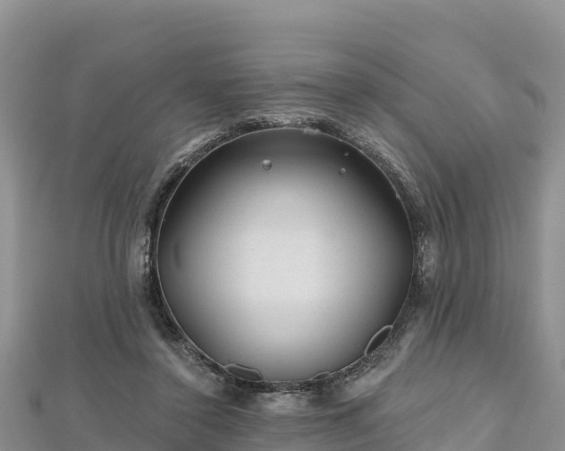 X0000112800356200908281533
