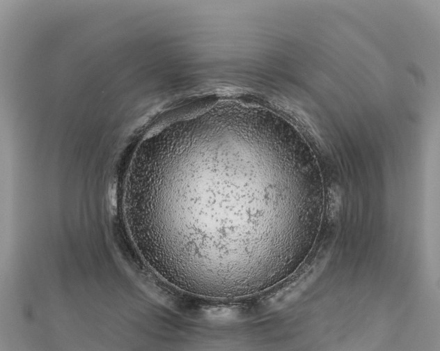 X0000112800358200908281533