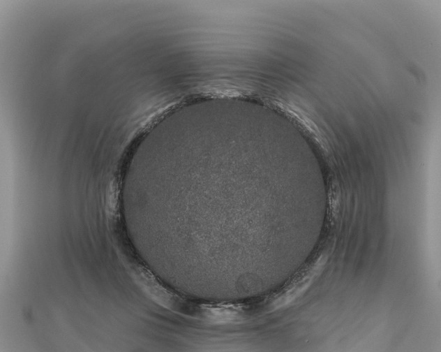X0000112800359200908281533