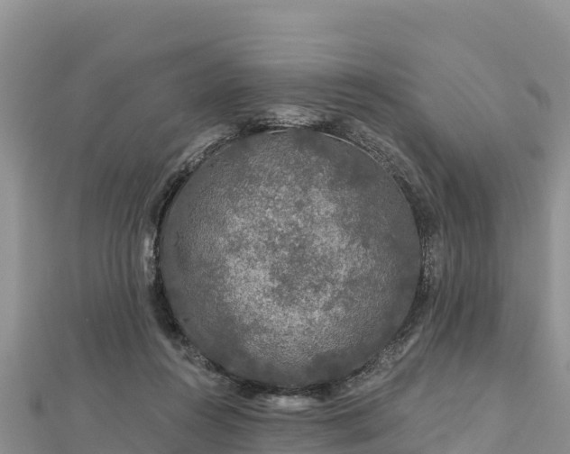 X0000112800360200908281533