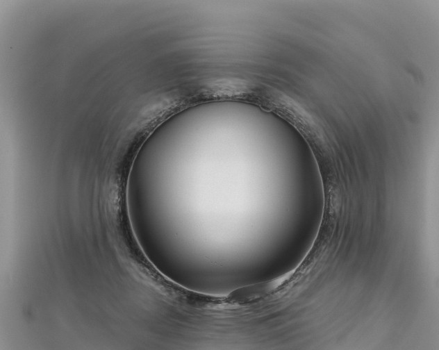X0000112800362200908281533