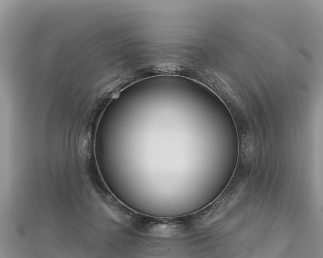 X0000112800364200908281533