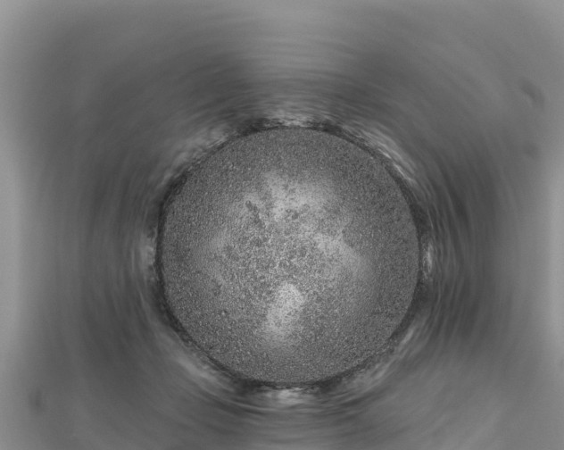 X0000112800365200908281533