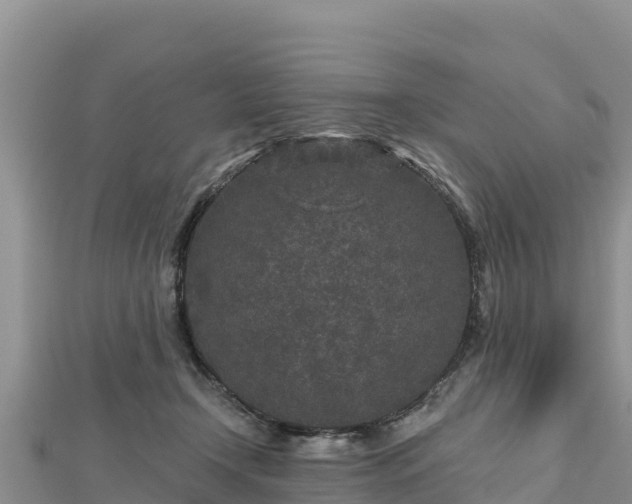 X0000112800366200908281533