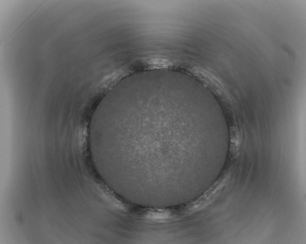 X0000112800369200908281533