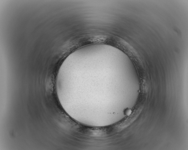 X0000112800370200908281533