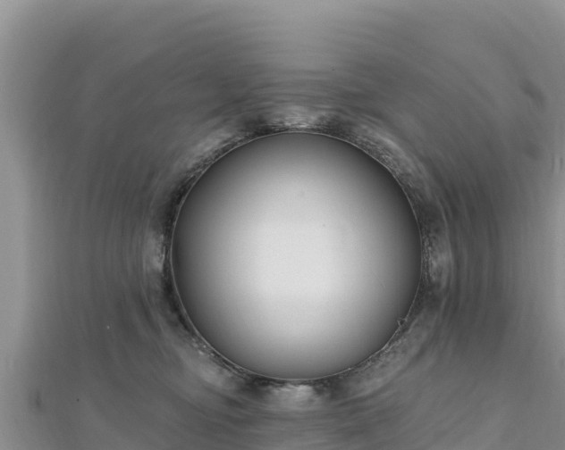 X0000112800374200908281533