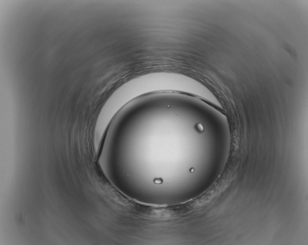 X0000112800376200908281533