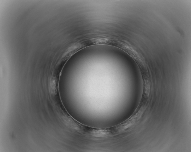 X0000112800378200908281533