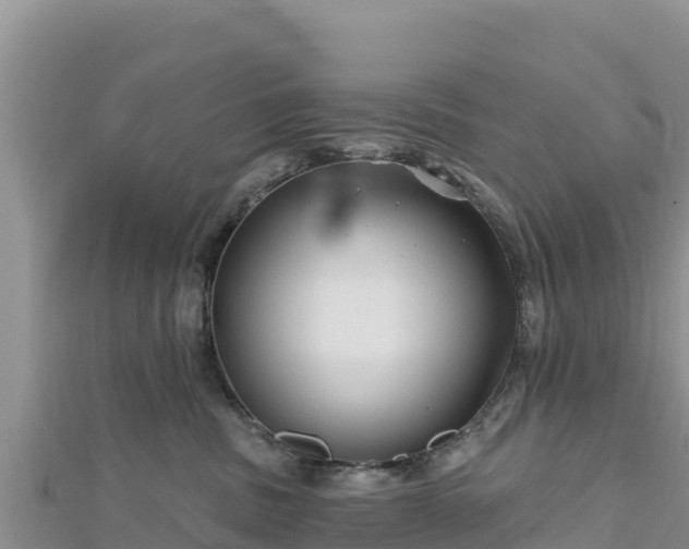 X0000112800379200908281533