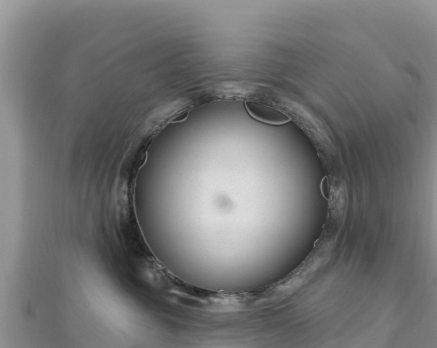 X0000112800381200908281533