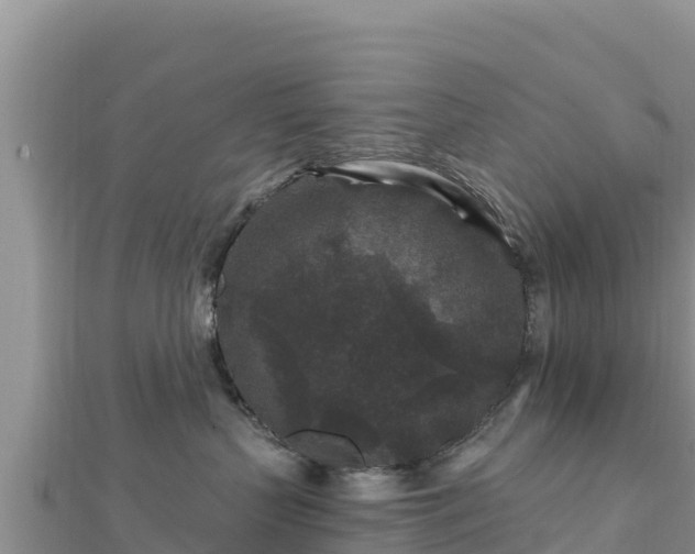 X0000112800383200908281533