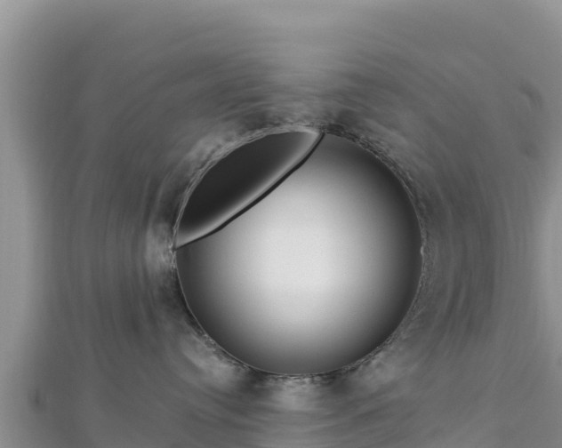 X0000112800384200908281533