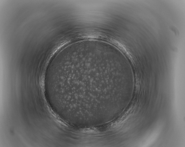 X0000112800386200908281533