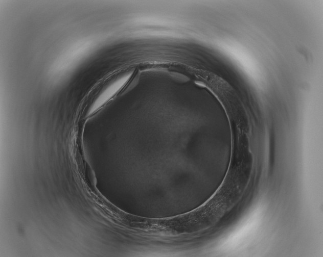 X0000112800387200908281533