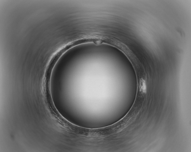 X0000112800388200908281533