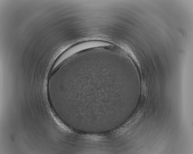 X0000112800389200908281533