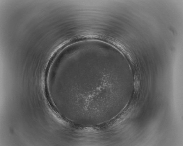 X0000112800390200908281533