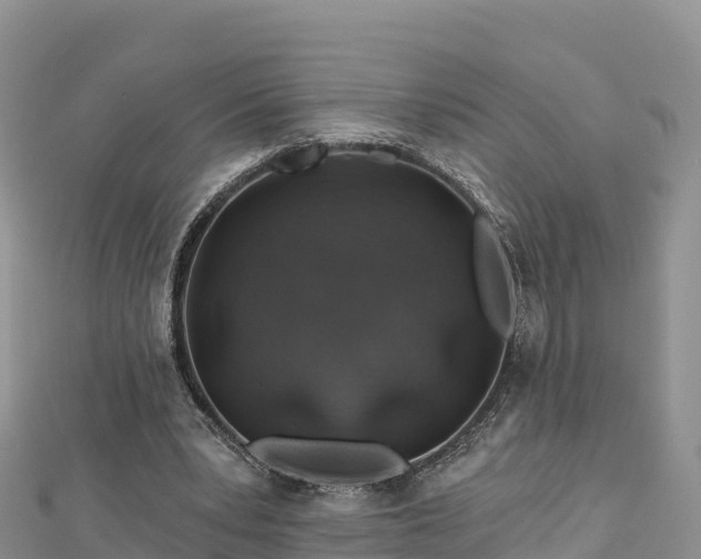 X0000112800391200908281533