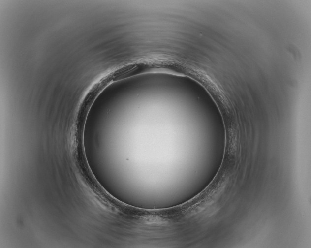 X0000112800392200908281533