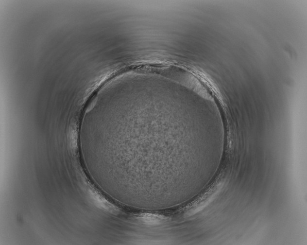 X0000112800393200908281533